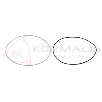 PISTON SEAL 9234680307